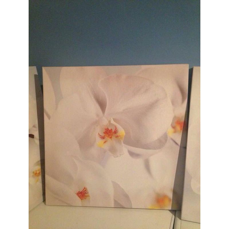 IKEA canvases BRAND NEW