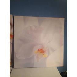 IKEA canvases BRAND NEW