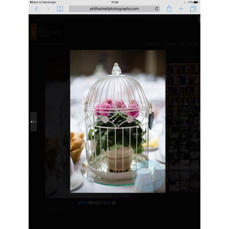 Wedding decoration - Birdcages for centre pieces x12