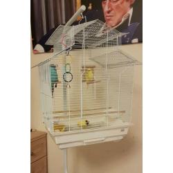 Bird budgie bird cage