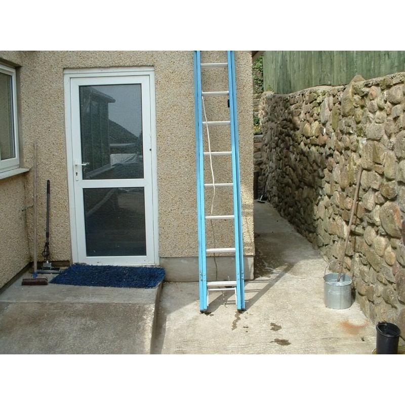 blue fibreglass single 8 rung aluminium ladder